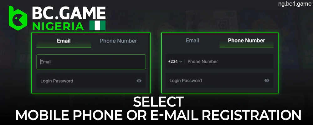 Choose one of the registration methods recommended by BC.Game