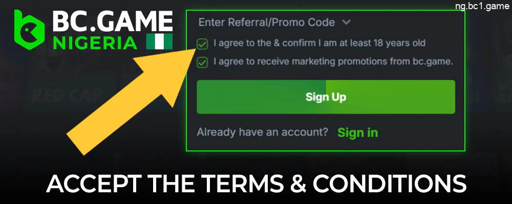 Accept the terms and conditions of the BC.Game website